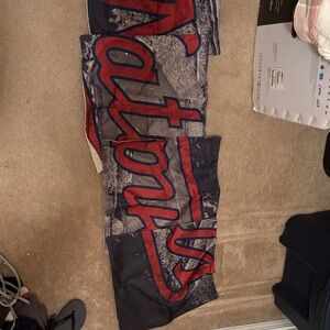 Washington Nationals Pillow covers